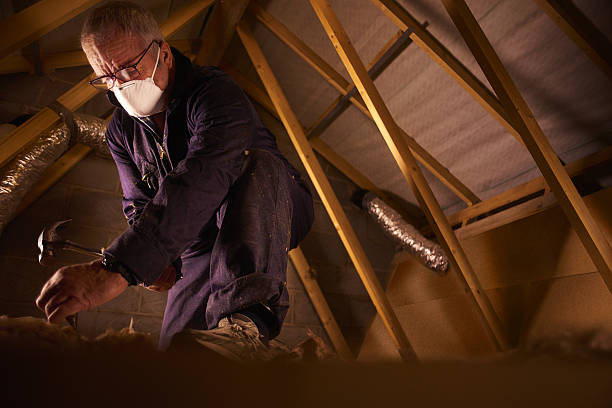 Best Types of Insulation in Moorhead, MN